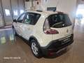 Renault Scenic X-Mod Cross 1.5 dci Energy 110cv OK NEOPATENTATI Blanc - thumbnail 15