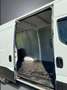 Iveco Daily 35S14NV 3.0 CNG PM-SL-TA Furgone Weiß - thumbnail 25