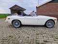 MG MGB Overdrive, Rembekrachtiger ect. Wit - thumbnail 5