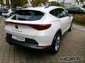 CUPRA Formentor 1.5 TSI OPF Kamera AHK ACC APP LED DAB+ Wit - thumbnail 3