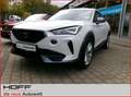 CUPRA Formentor 1.5 TSI OPF Kamera AHK ACC APP LED DAB+ Weiß - thumbnail 2