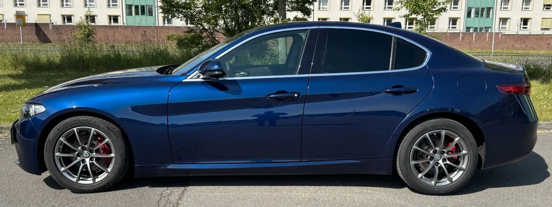 Alfa Romeo Giulia Super Blau - 2