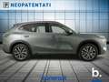 Geely Starray EM-i 1.5 phev Launch Edition Grau - thumbnail 4