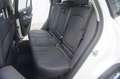 BMW X5 xDrive Autm.231-PS*NAVI*LEDER*ACC*360-KAMERA Weiß - thumbnail 19
