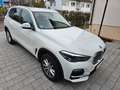 BMW X5 xDrive Autm.231-PS*NAVI*LEDER*ACC*360-KAMERA Weiß - thumbnail 10