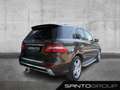 Mercedes-Benz ML 250 ML 250 BlueTEC 4MATIC Off-Roader COMAND APS/Navi Braun - thumbnail 4