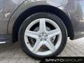 Mercedes-Benz ML 250 ML 250 BlueTEC 4MATIC Off-Roader COMAND APS/Navi Braun - thumbnail 25