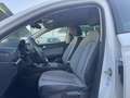 SEAT Leon 2.0TDI S&S Style 115 Weiß - thumbnail 14