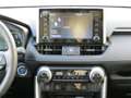 Toyota RAV 4 - 2,5 l Hyb 4x4 Active Drive CVT Grau - thumbnail 9