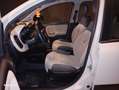 Fiat Panda Panda 0.9 t.air t. natural power Lounge 80cv E6 Beige - thumbnail 12