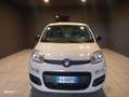 Fiat Panda Panda 0.9 t.air t. natural power Lounge 80cv E6 Beige - thumbnail 2