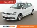 Volkswagen Polo 1.2 TSI Comfortline BMT*PDC*SHZ*PANO*KLIMA* Weiß - thumbnail 1