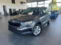 Skoda Karoq Selection 1.5 TSI LED Kamera Navi Digi Cockpit LED Grijs - thumbnail 1