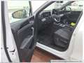 Volkswagen Tiguan 1.5 TSI DSG eHybrid Life Navi AHK Pano Ka Weiß - thumbnail 5