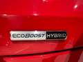 Ford Puma 1.0 EcoBoost Hybrid 125 CV S&S ST-Line Rosso - thumbnail 8