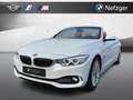 BMW 428 i Cabrio Luxury HUD Navi Nackenwärmer HiFi Blanc - thumbnail 1