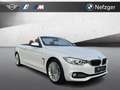 BMW 428 i Cabrio Luxury HUD Navi Nackenwärmer HiFi Weiß - thumbnail 5