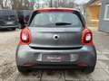 smart forFour Edition/PANO/TEMPOM/SITZHEIZUNG/ Grau - thumbnail 6