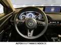 Mazda CX-30 5WGN 2.5L e-SKYACTIV G 140ps 6MT Exclusiv Grau - thumbnail 10