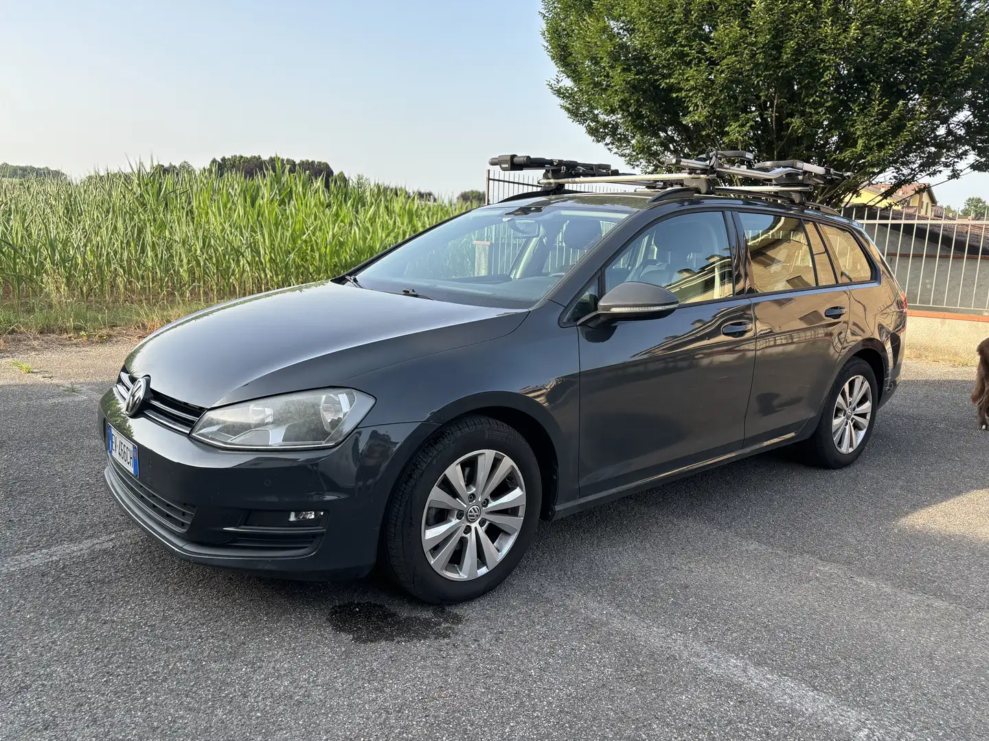 Volkswagen Golf Variant 1.6 tdi Comfortline - 1