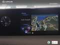 Lexus UX 250h Business Navigation 2WD Silber - thumbnail 21