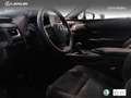 Lexus UX 250h Business Navigation 2WD Zilver - thumbnail 18