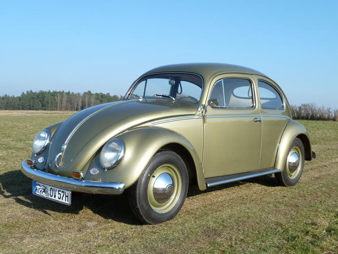 Volkswagen Käfer Ovali Baujahr 1957 Verde - 1