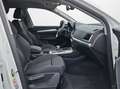 Audi Q5 40 TDI S tronic quattro S line NaviPlus Matrix ... Weiß - thumbnail 14