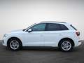 Audi Q5 40 TDI S tronic quattro S line NaviPlus Matrix ... Weiß - thumbnail 4