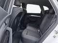 Audi Q5 40 TDI S tronic quattro S line NaviPlus Matrix ... Weiß - thumbnail 12