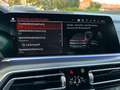 BMW X6 M-Paket xDrive30d  Aut. *Mega-Optik*Finanzierung Grau - thumbnail 22