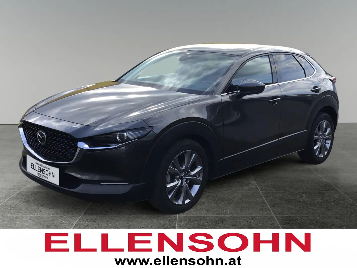 Mazda CX-30 G122 Comfort+/SO/ST    8-fach bereift! Grau - 1