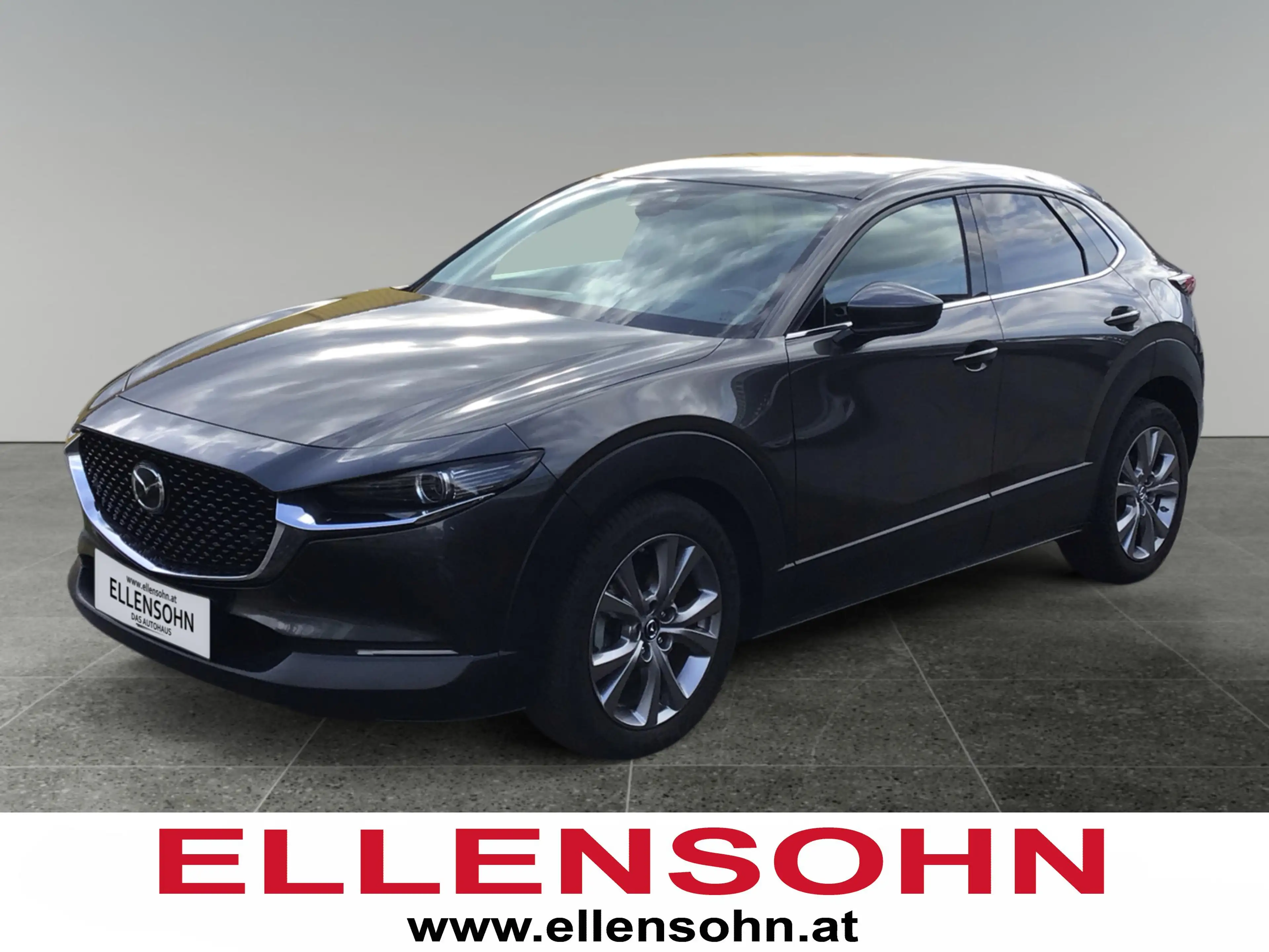 Mazda CX-30 G122 Comfort+/SO/ST    8-fach bereift!
