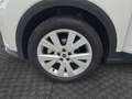SEAT Arona 1.0 ECO TSI XPERIENCE 110CV Bianco - thumbnail 13
