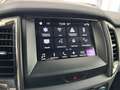 Ford Ranger 3.2TDCI DCb. Wildtrak 4x4 Aut. 200 Gris - thumbnail 22