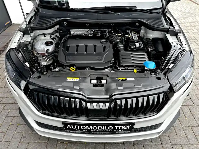 Skoda Karoq view 23