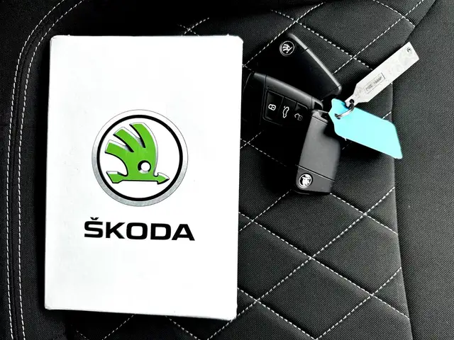 Skoda Karoq view 26