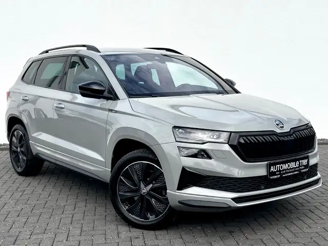 Skoda Karoq view 3