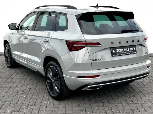 Skoda Karoq view 7