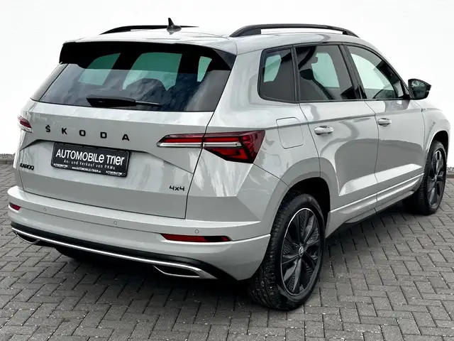 Skoda Karoq view 5