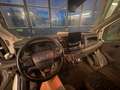 Ford Transit 350 H2L2 Trail Weiß - thumbnail 6