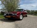 Jaguar XJ XJ 3.2 V8 Rouge - thumbnail 2