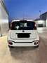 Fiat Panda 0.9 t.air turbo Trekking 85cv - thumbnail 4