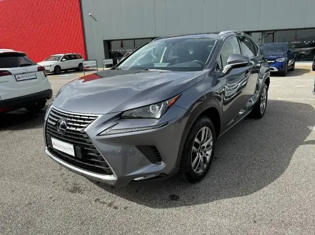Lexus NX 300 h 2.5 Business 2wd cvt