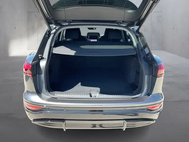 Audi Q6 view 10
