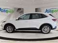 Ford Kuga Titanium FHEV Blanc - thumbnail 4