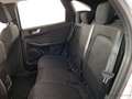 Ford Kuga Titanium FHEV Blanc - thumbnail 18