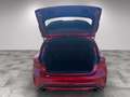 Ford Focus ST X Rot - thumbnail 7