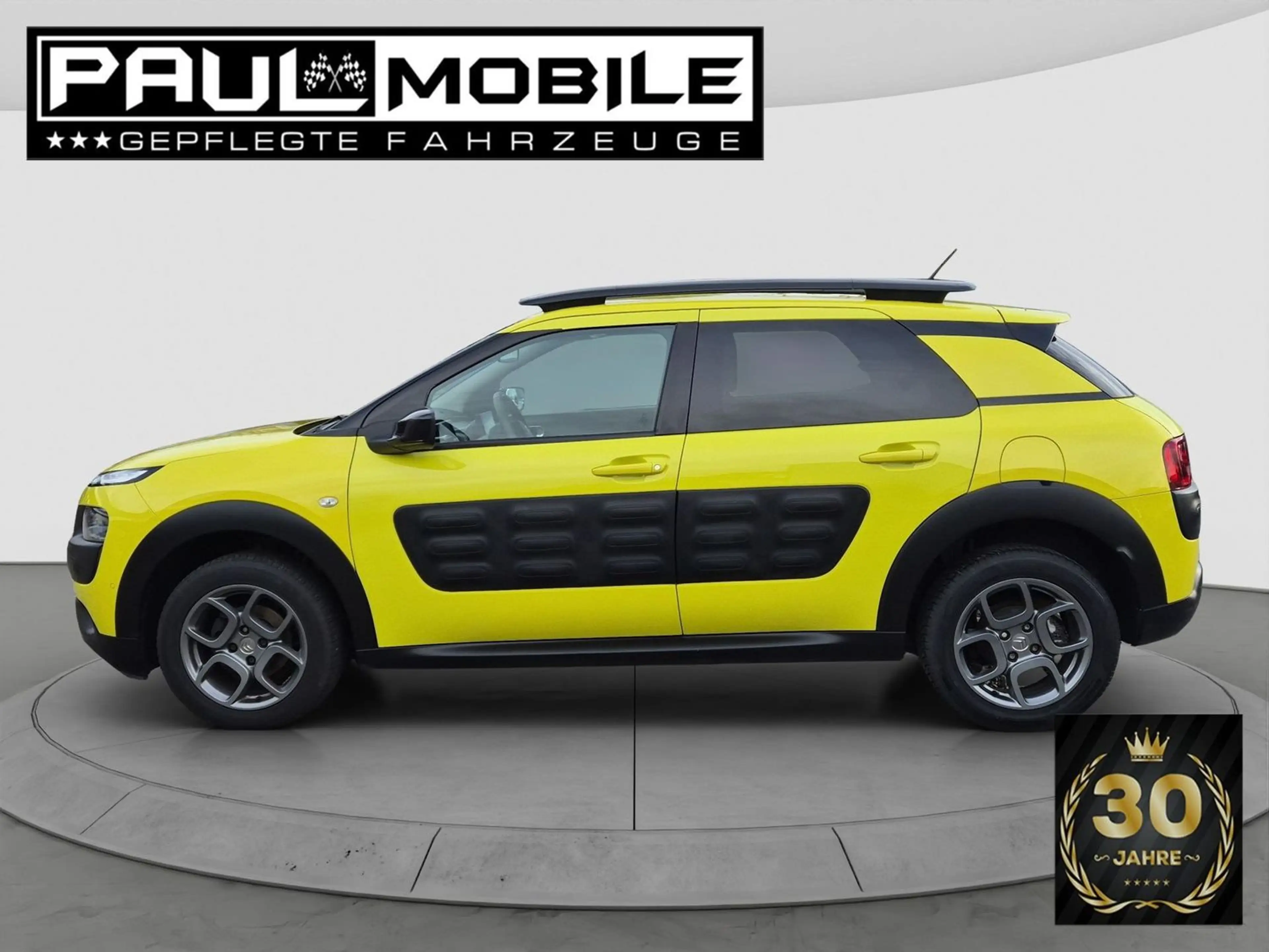 Citroen C4 Cactus Shine Navi Sitzheizung R-Cam PDC v+h — photo 4