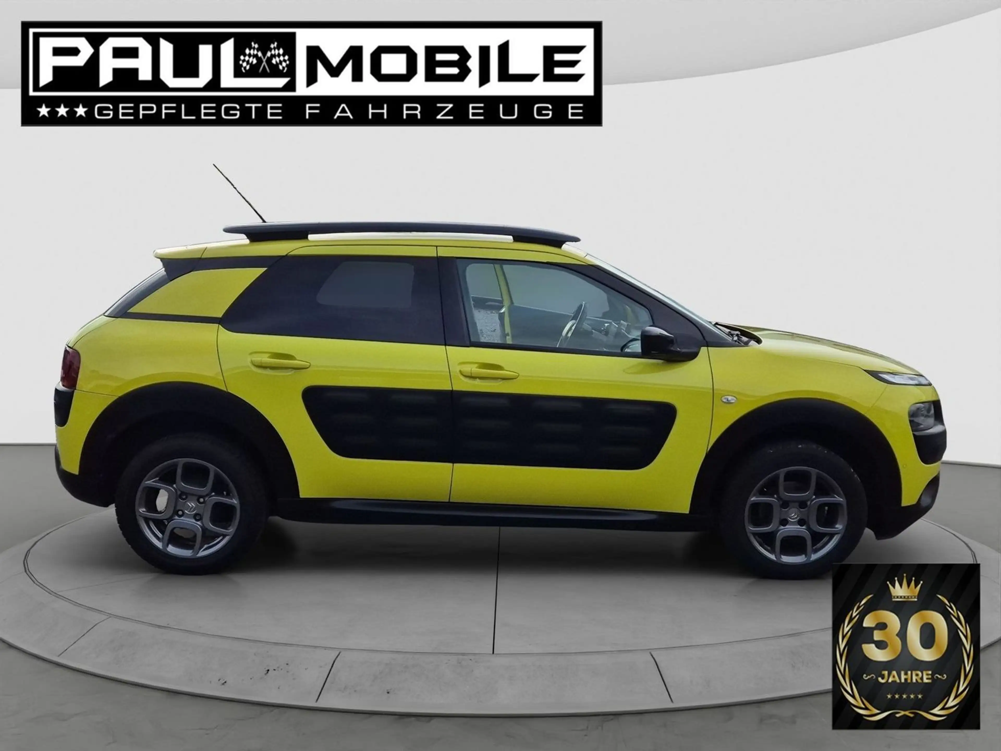 Citroen C4 Cactus Shine Navi Sitzheizung R-Cam PDC v+h — photo 8